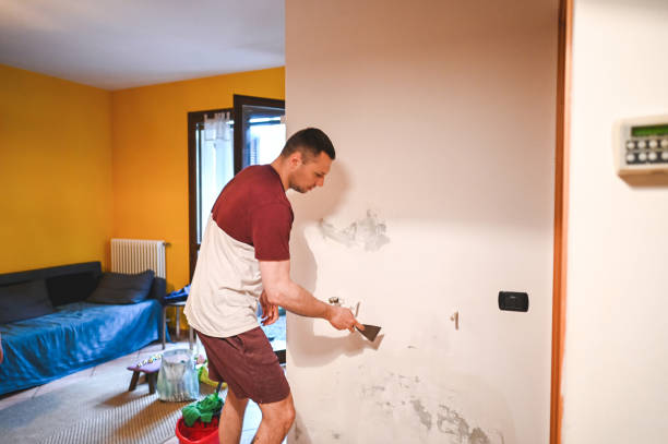 Best Office Mold Removal Services  in North Eastham, MA